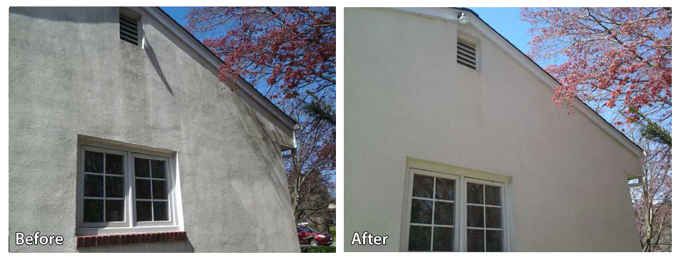 Before and after pressure washing siding in Newtown Square with pink tree