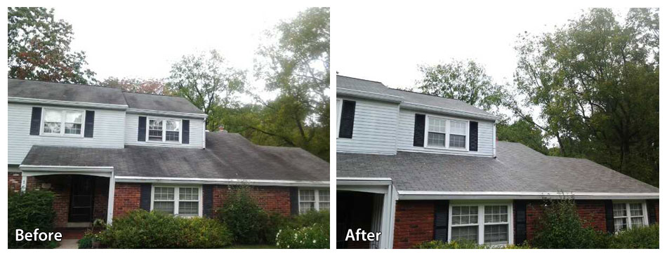 Before and After Pressure Washing a Roof
